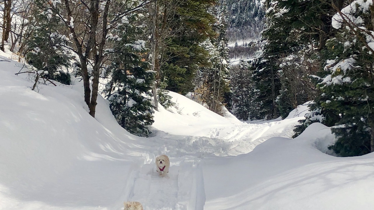 Photo of Outdoor in Downtown Park City