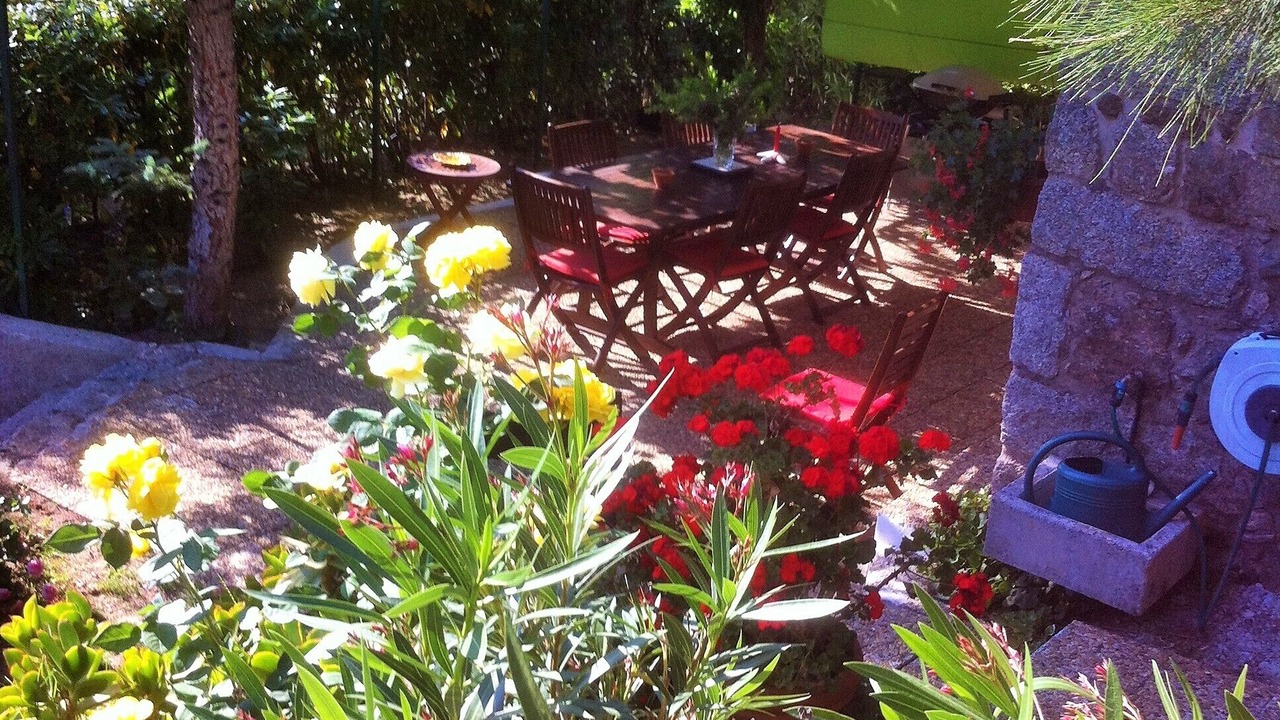 Photo of Outdoor in Eccica-Suarella