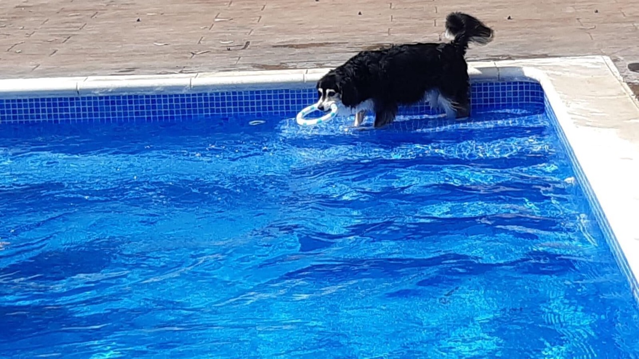 Photo of Outdoor in Lloret de Mar