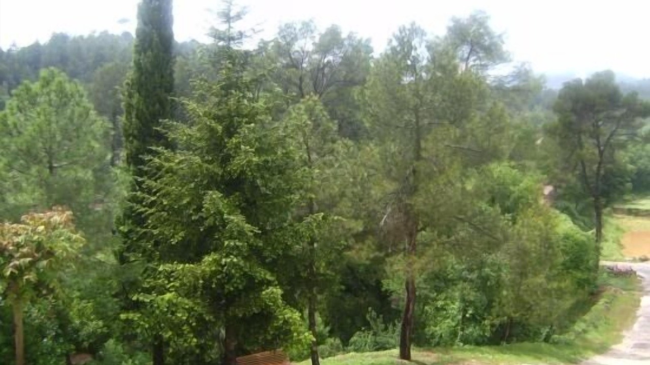 Photo of Outdoor in Sant Salvador de Guardiola