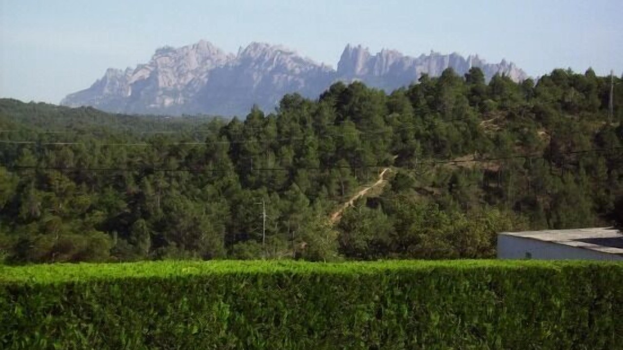 Photo of Outdoor in Sant Salvador de Guardiola