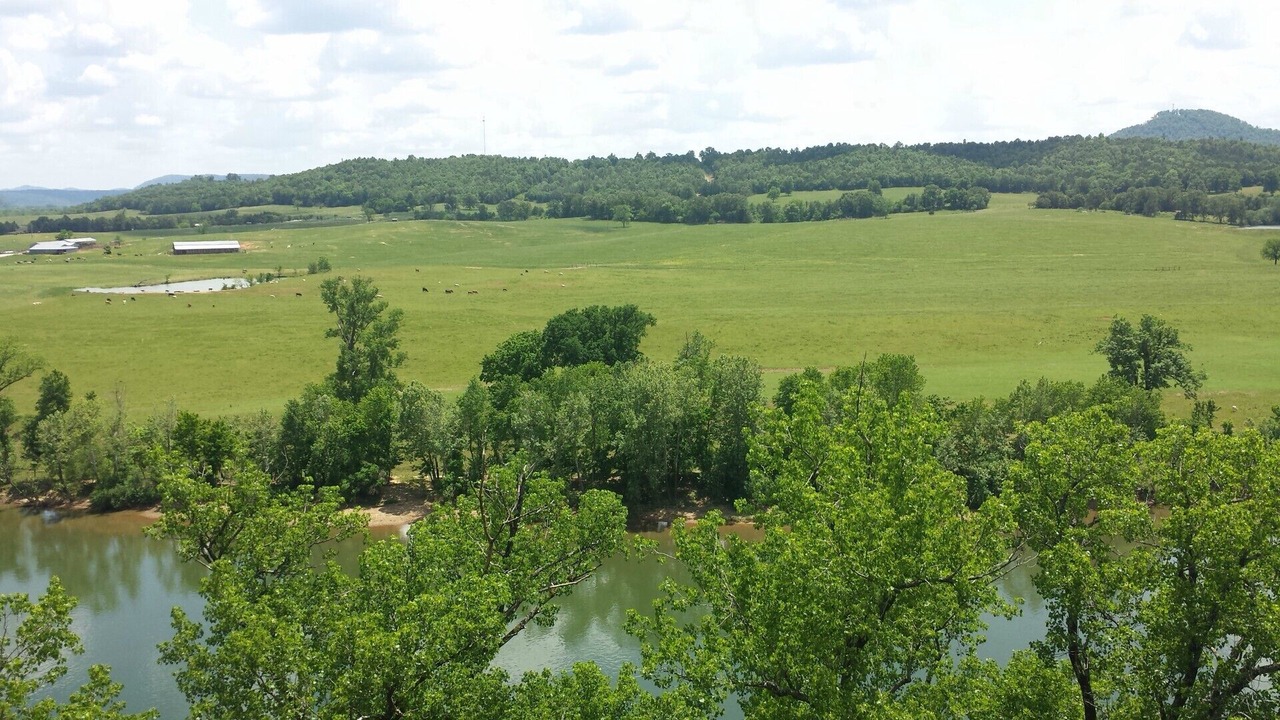 Photo of Others in Calico Rock