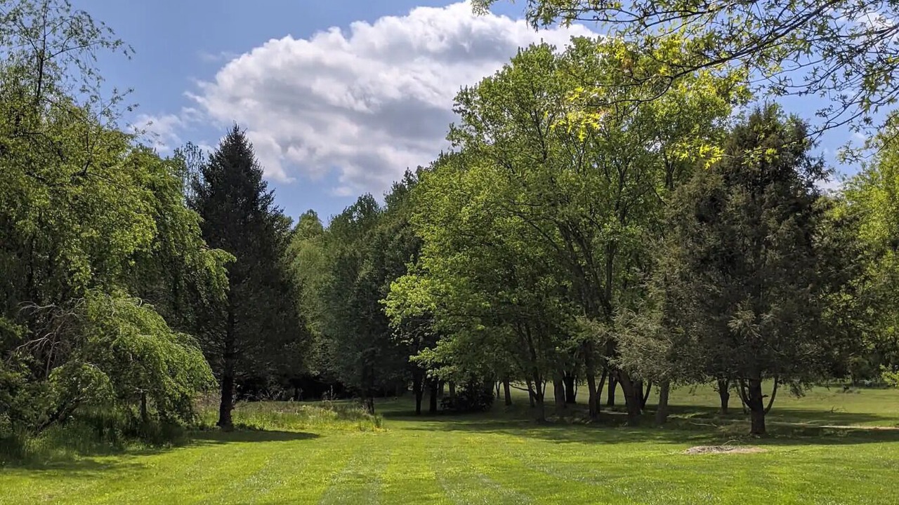 Photo of Others in Fairview