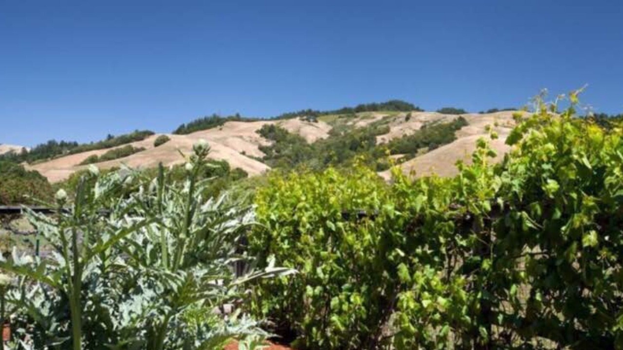 Photo of Outdoor in Nicasio