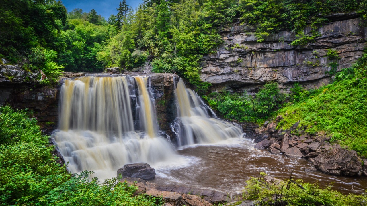Photo of Others in Canaan Valley