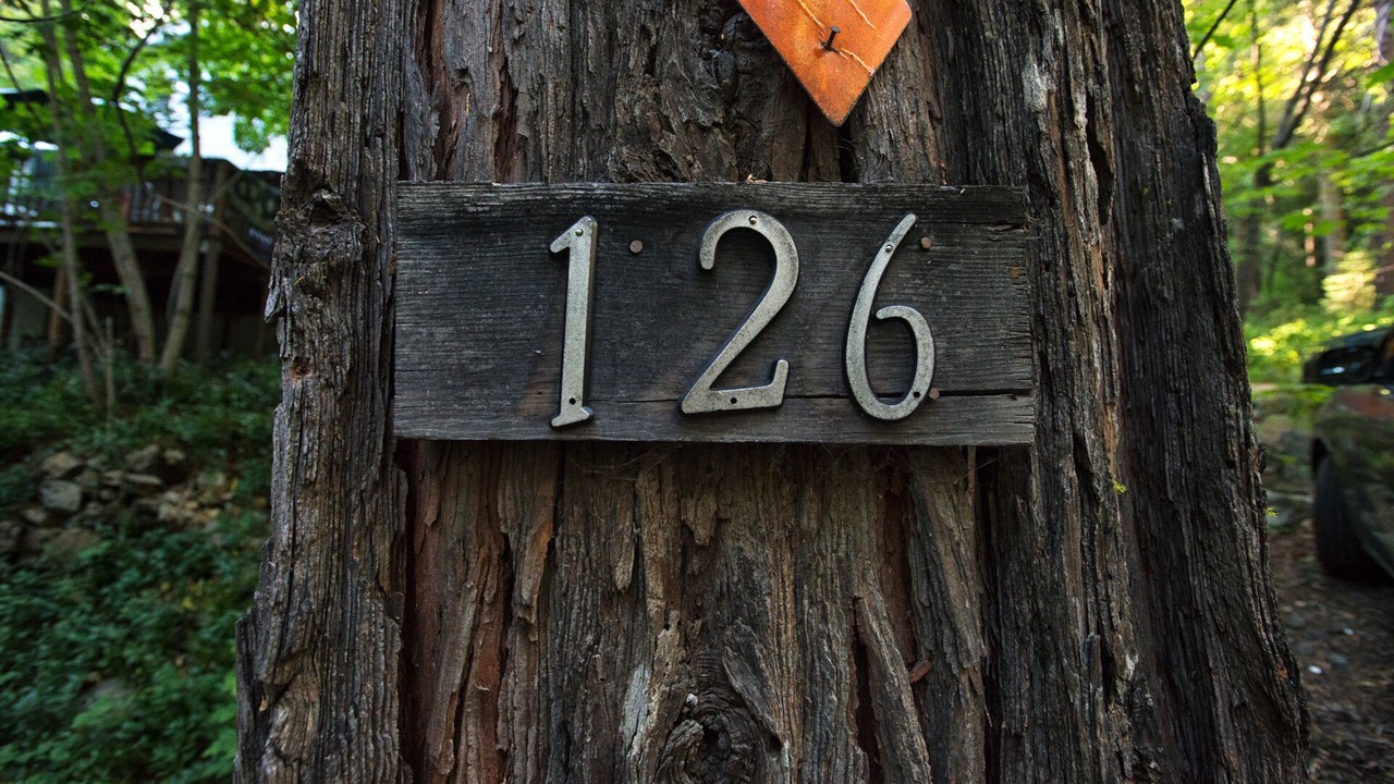 Photo of Others in Sierra City