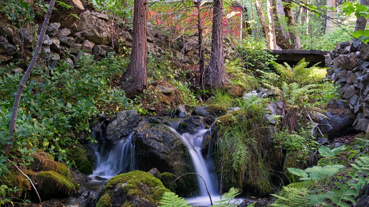Photo of Others in Sierra City