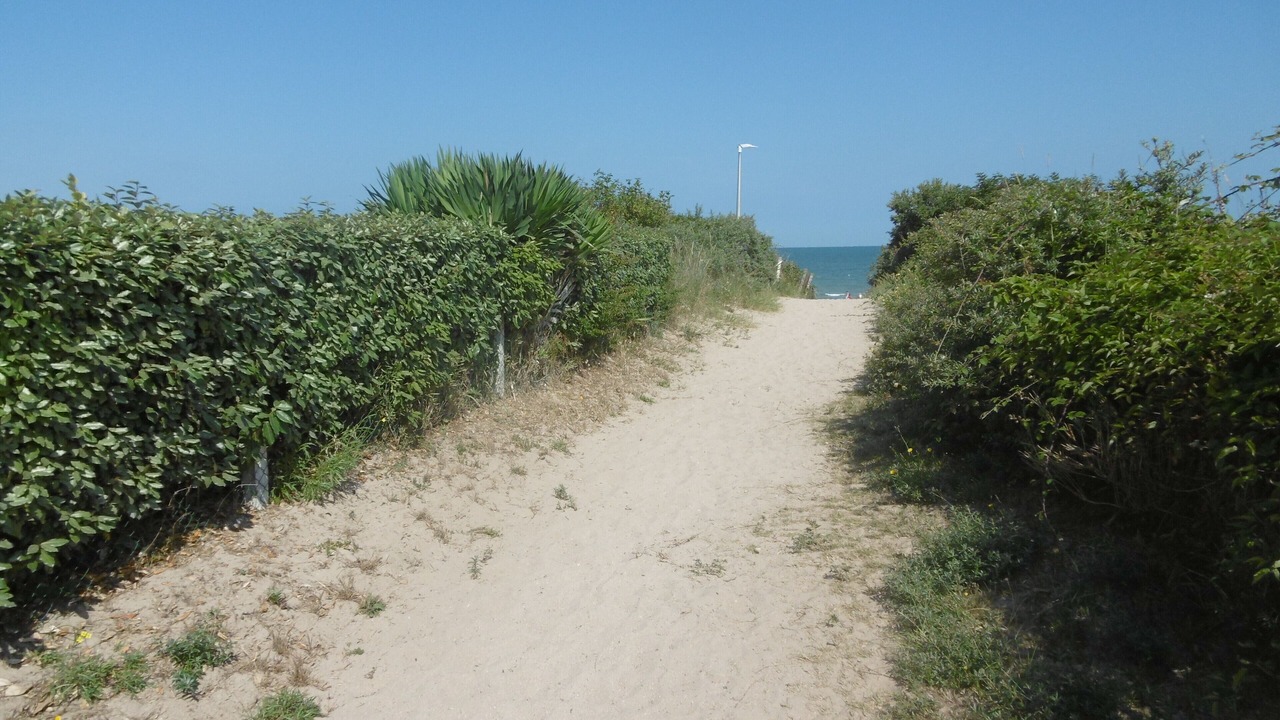 Photo of Others in Merville-Franceville-Plage