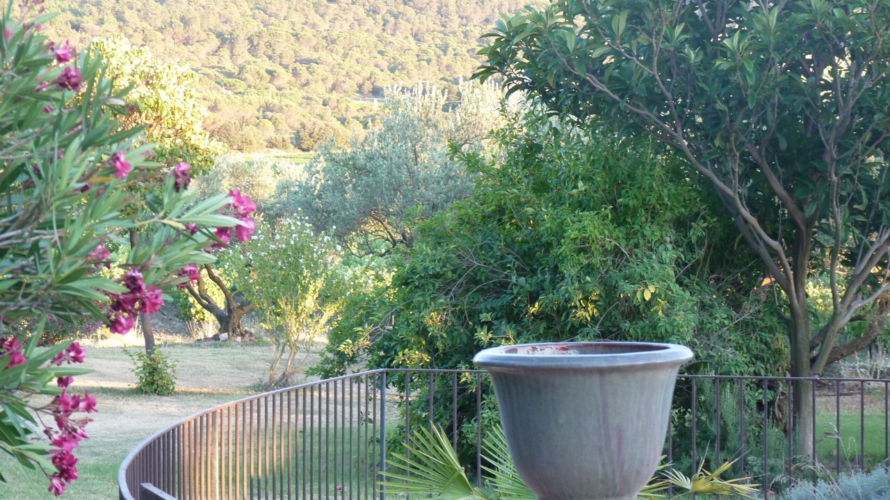 Photo of Outdoor in Mondragon