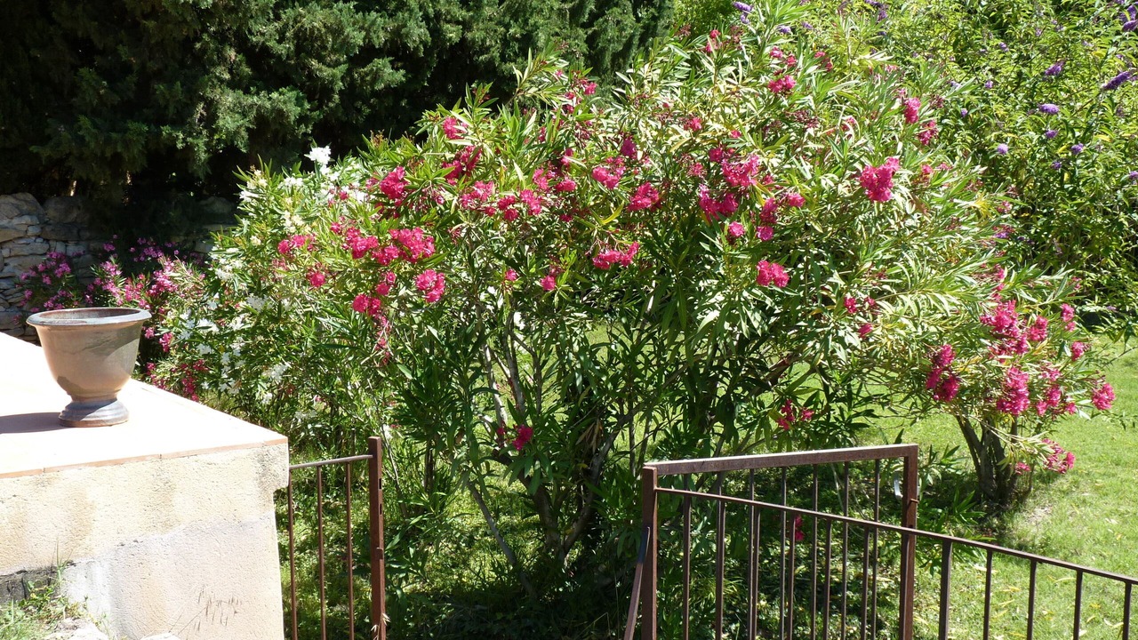 Photo of Outdoor in Mondragon