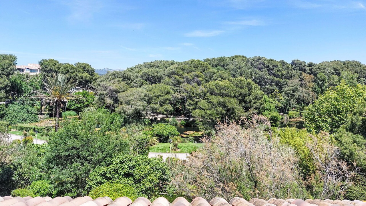 Photo of Outdoor in Six-Fours-les-Plages