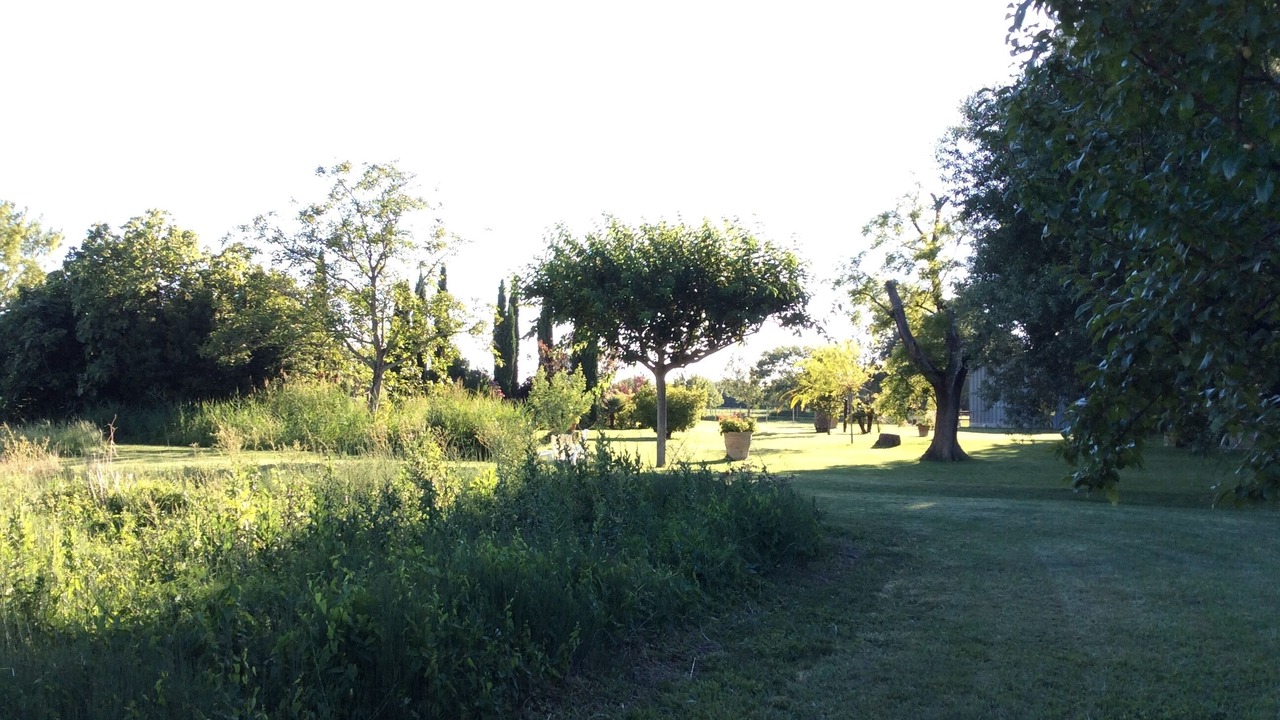 Photo of Outdoor in Arles