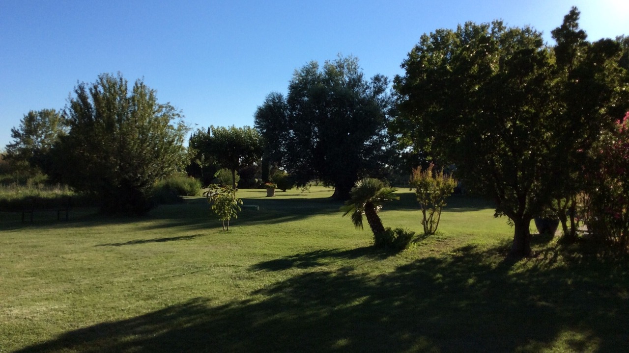 Photo of Others in Arles