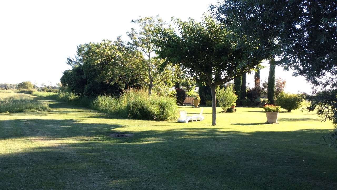 Photo of Outdoor in Arles