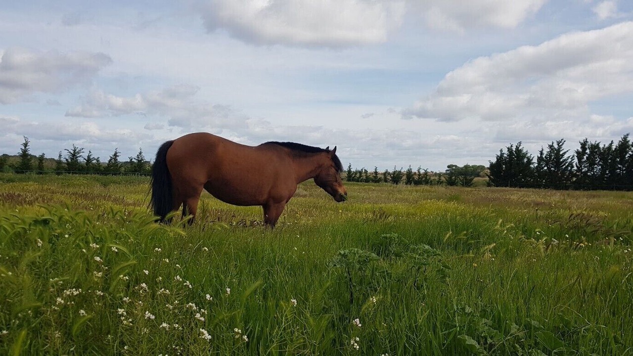 Photo of Outdoor in Fabregues
