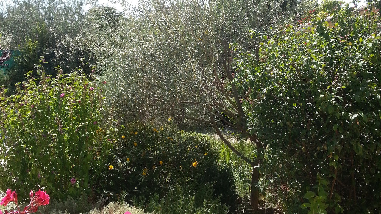Photo of Outdoor in Beaulieu