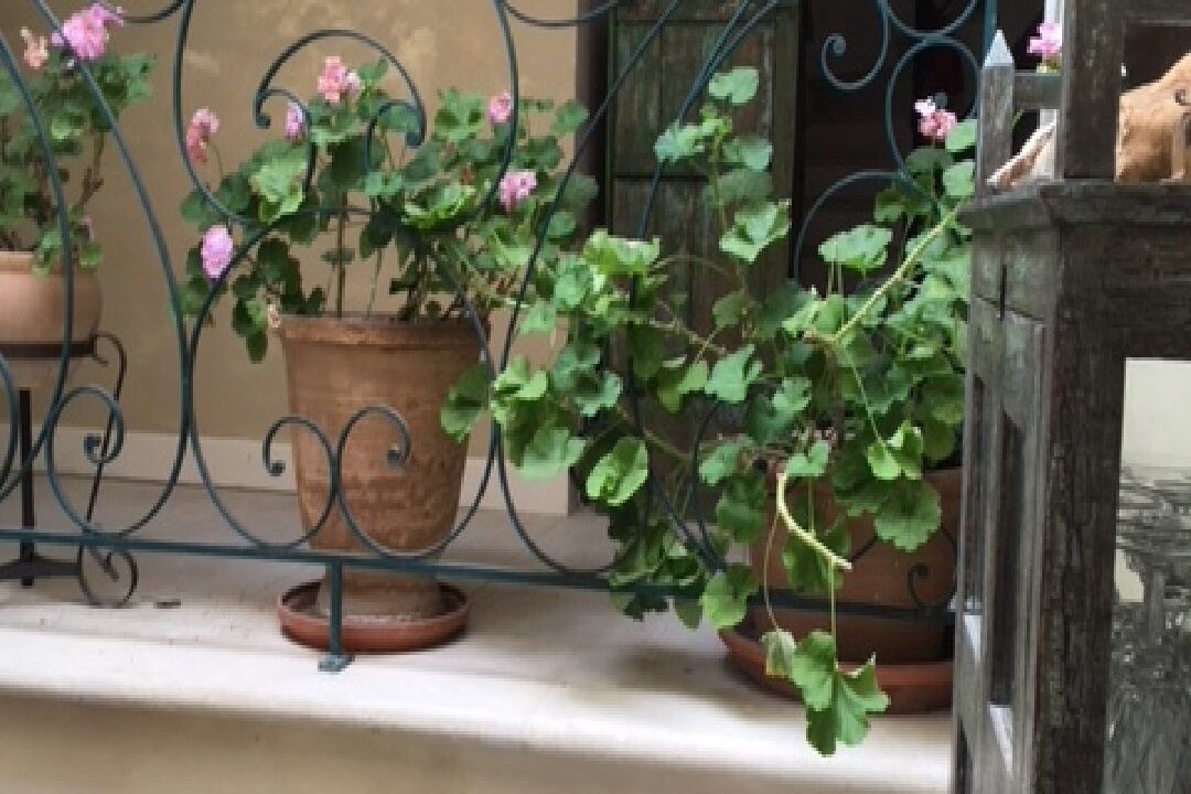 Photo of Outdoor in Gordes