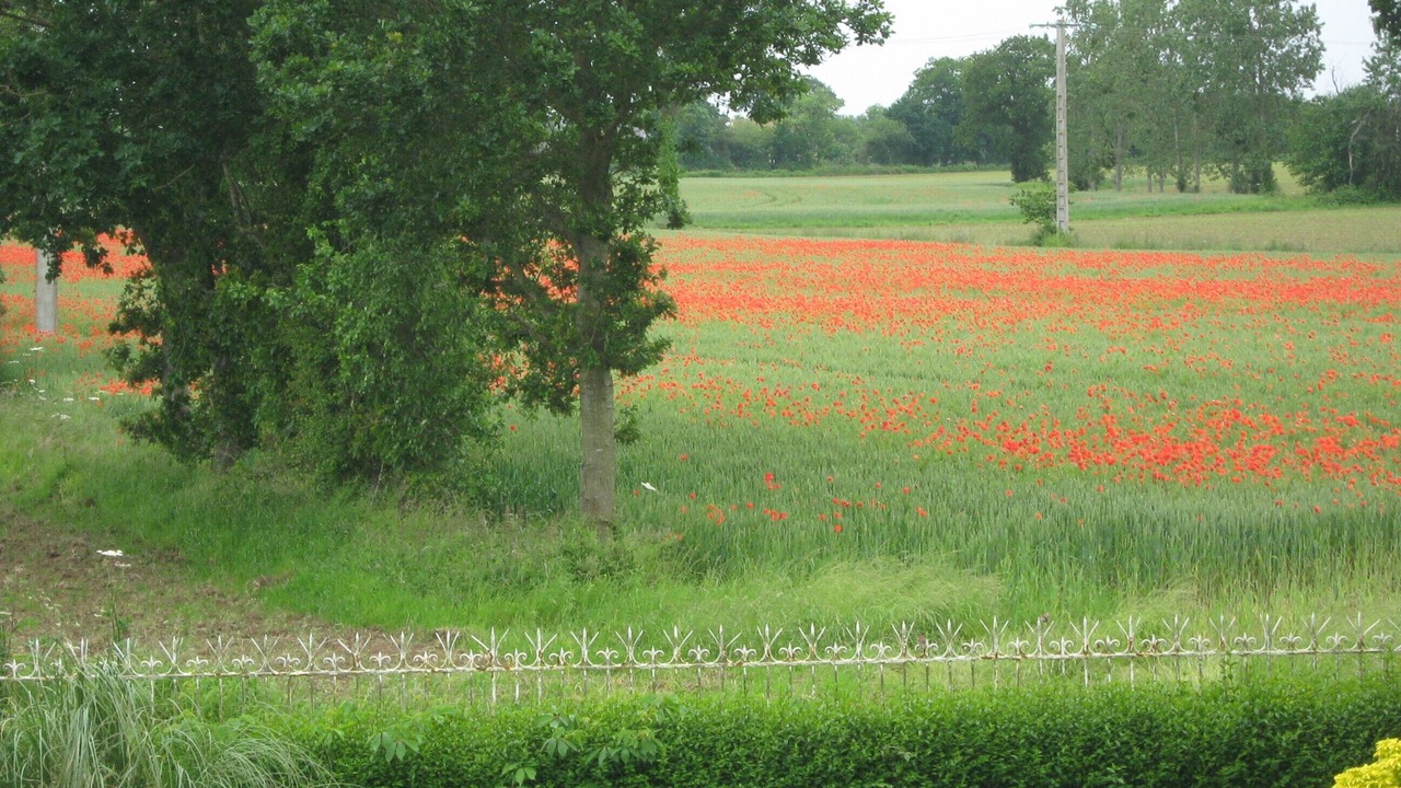 Photo of Outdoor in Saint-Paul-du-Vernay