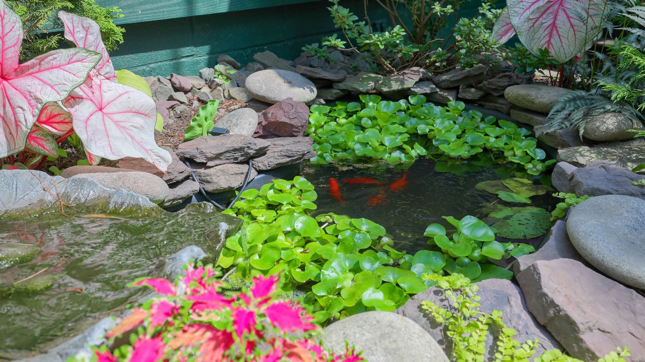 Photo of Others in Mount Gretna