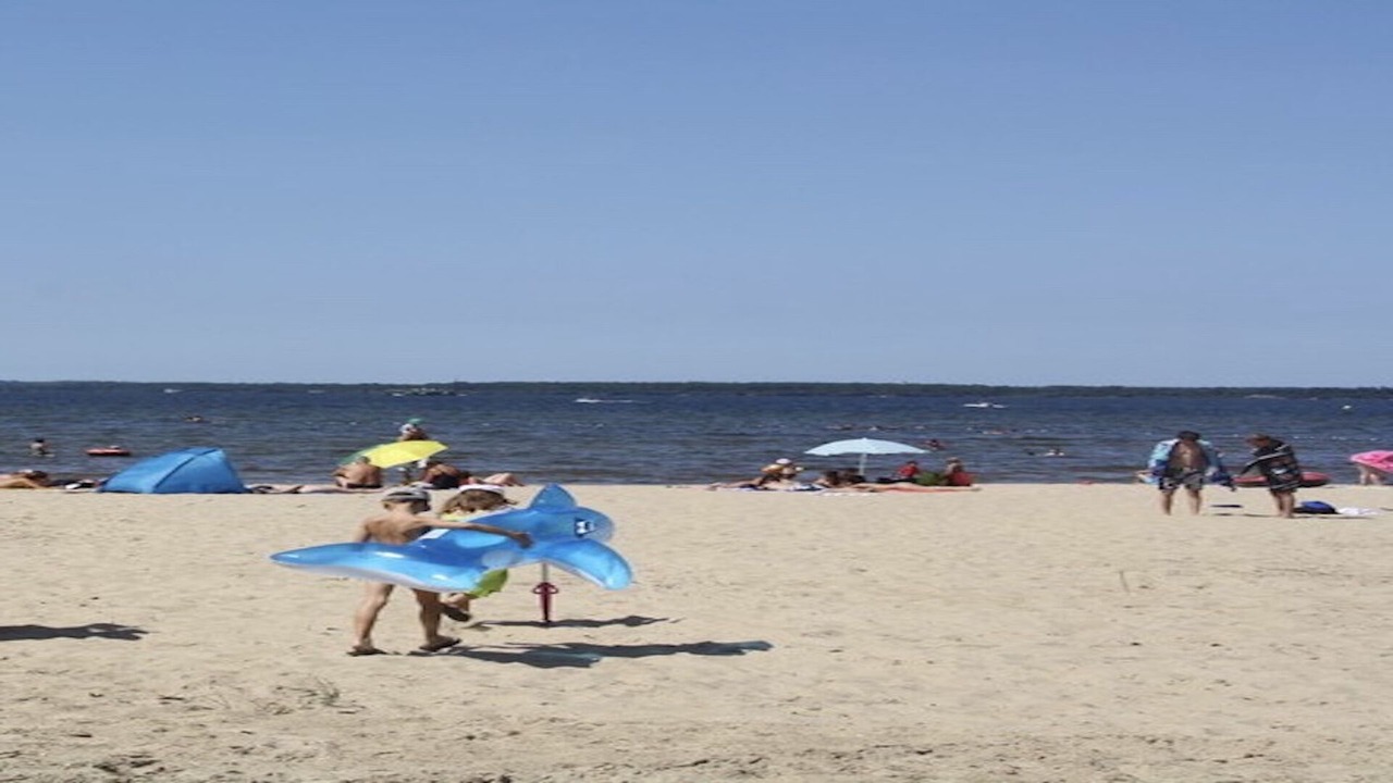 Photo of Others in Gastes