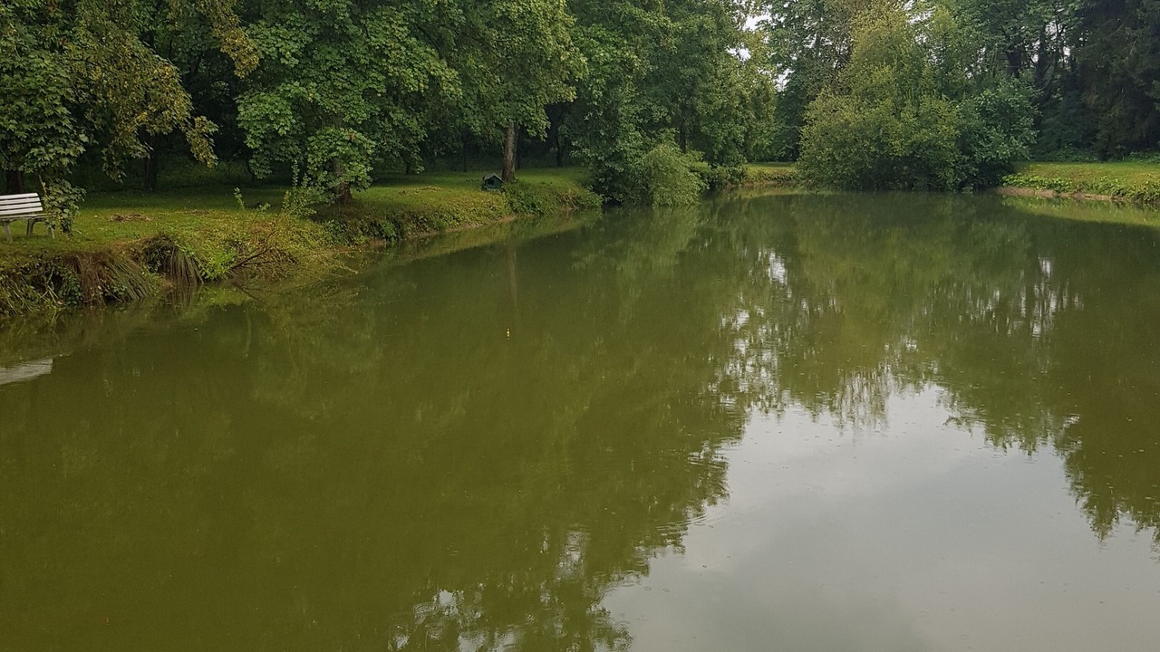 Photo of Others in Saint-Denis-les-Rebais