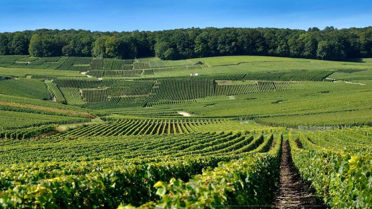 Photo of Others in Saint-Denis-les-Rebais