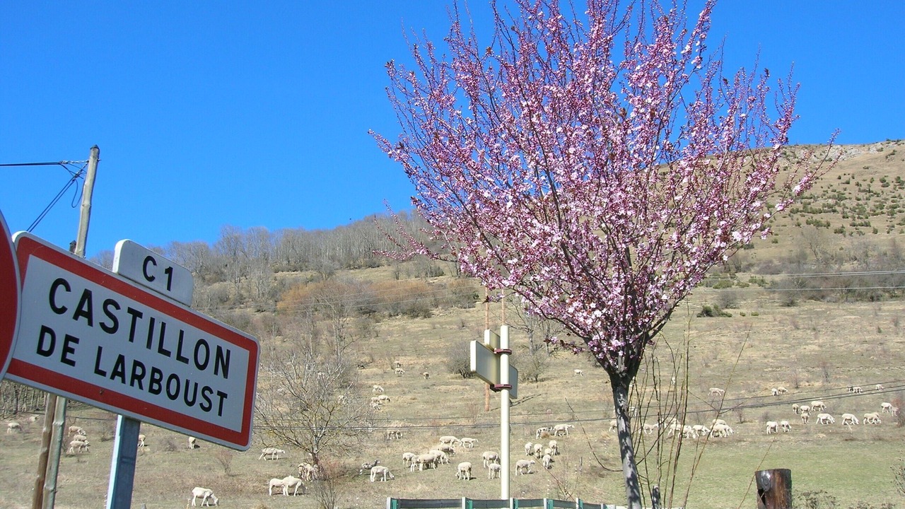 Photo of Outdoor in Peyragudes