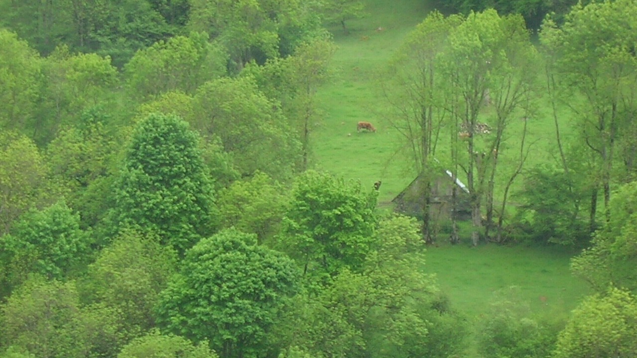 Photo of Outdoor in Peyragudes