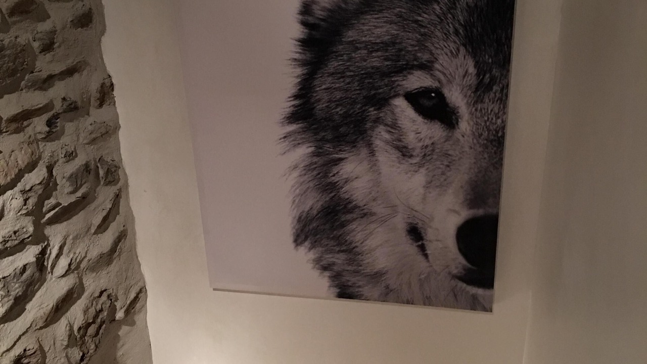 Photo of Others in Chandon