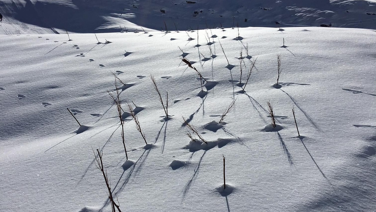 Photo of Others in Chandon