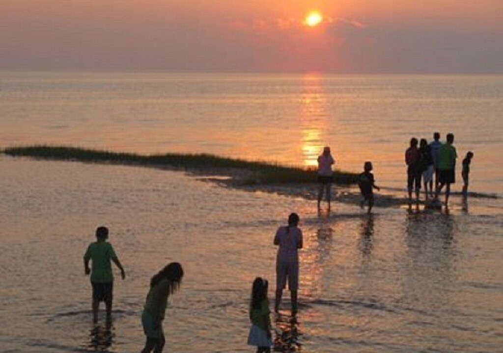 Photo of Others in East Dennis