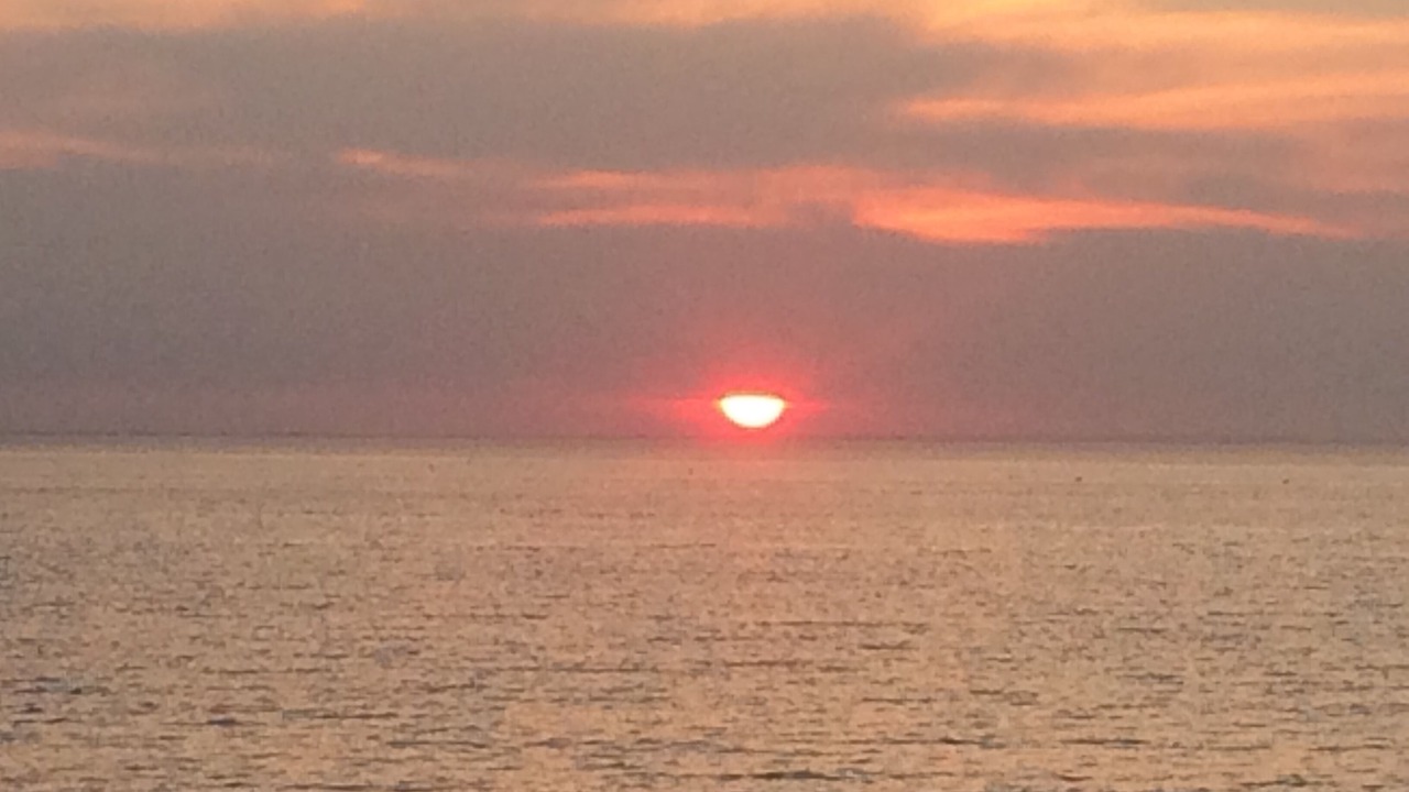 Photo of Others in East Dennis