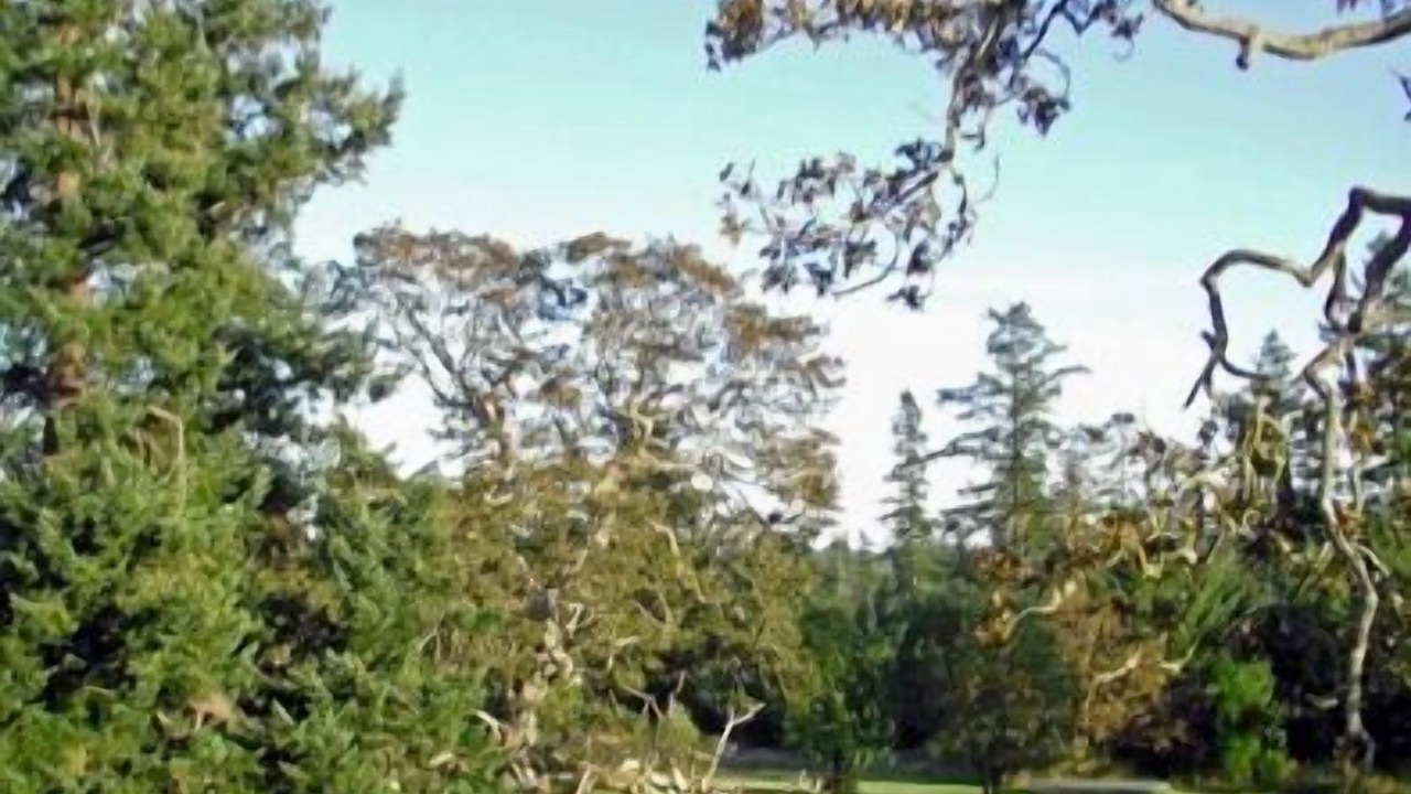 Photo of Others in Friday Harbor