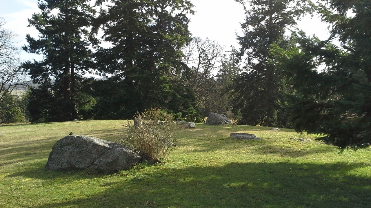 Photo of Others in Friday Harbor