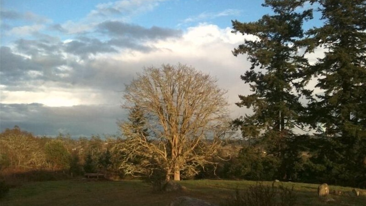 Photo of Others in Friday Harbor