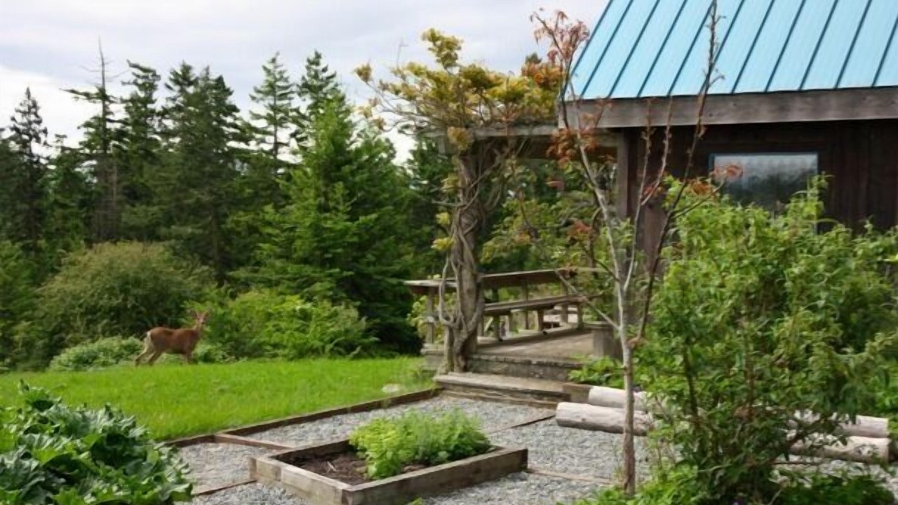 Photo of Others in Friday Harbor