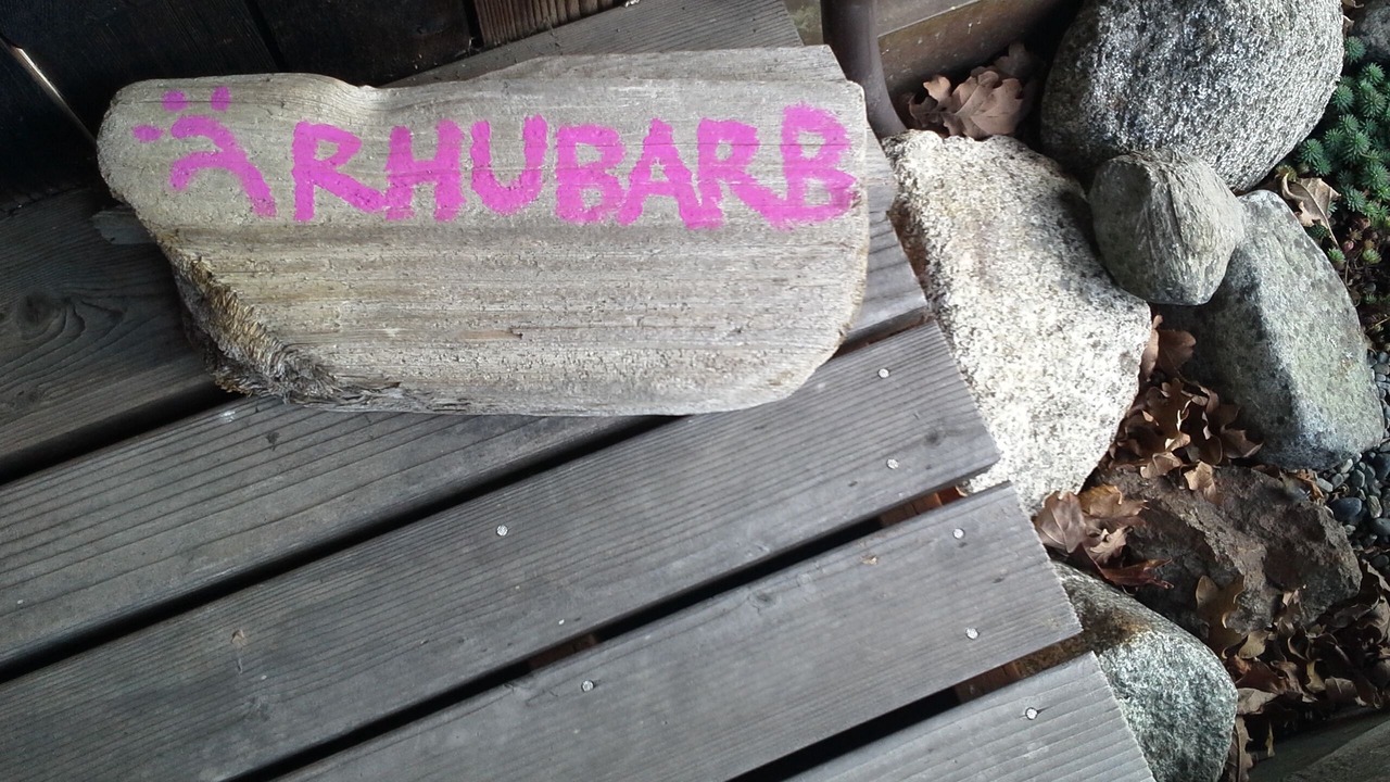 Photo of Others in Friday Harbor