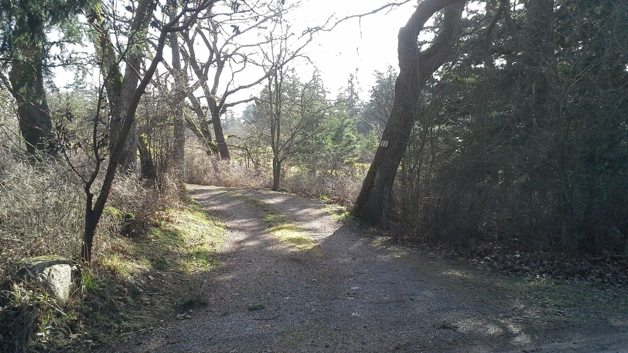 Photo of Others in Friday Harbor