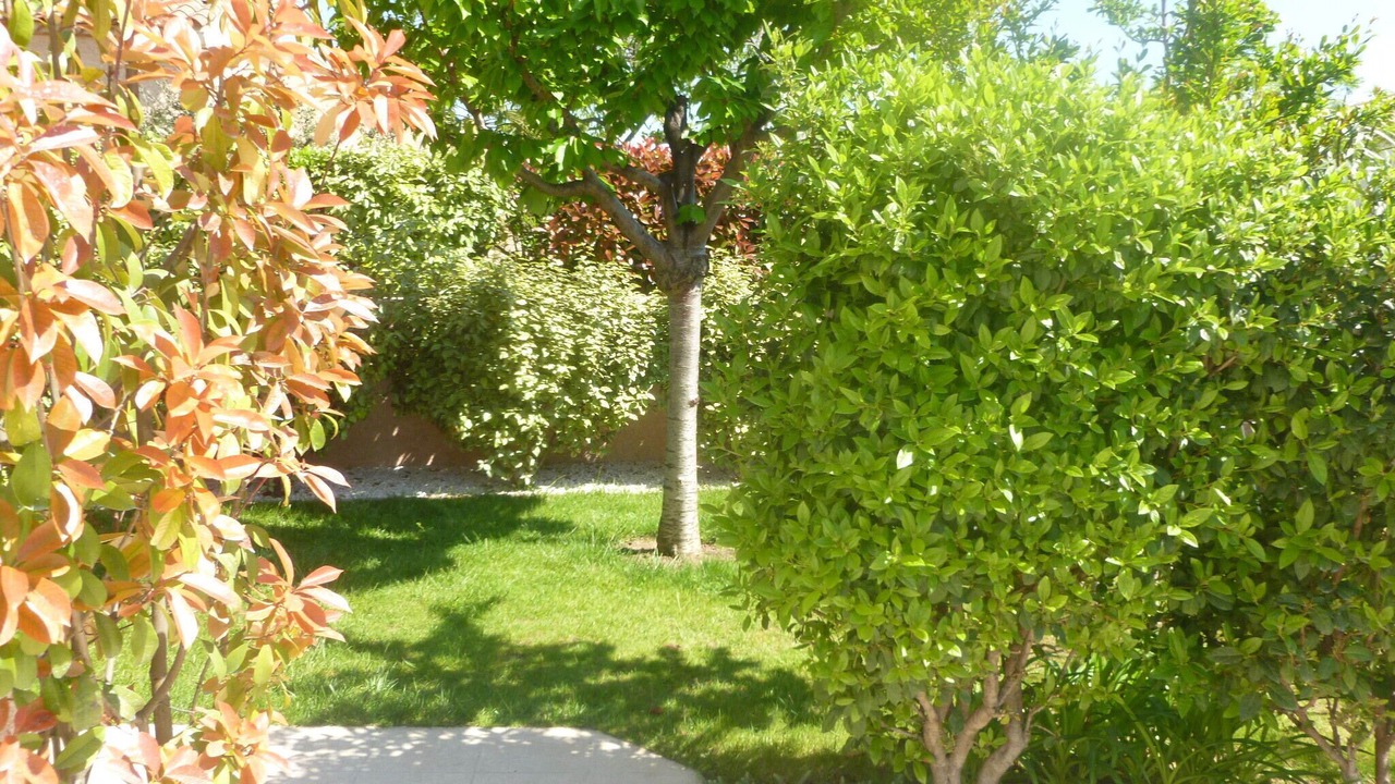 Photo of Outdoor in Lattes