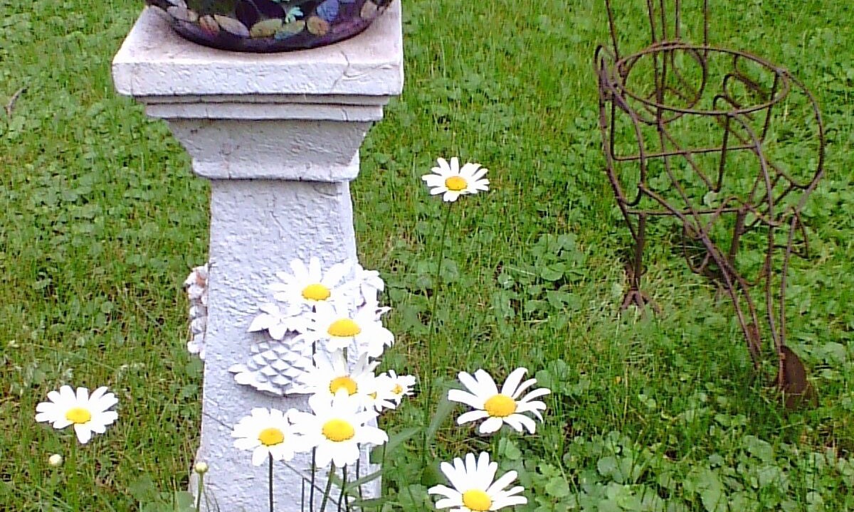 Photo of Outdoor in Willmar