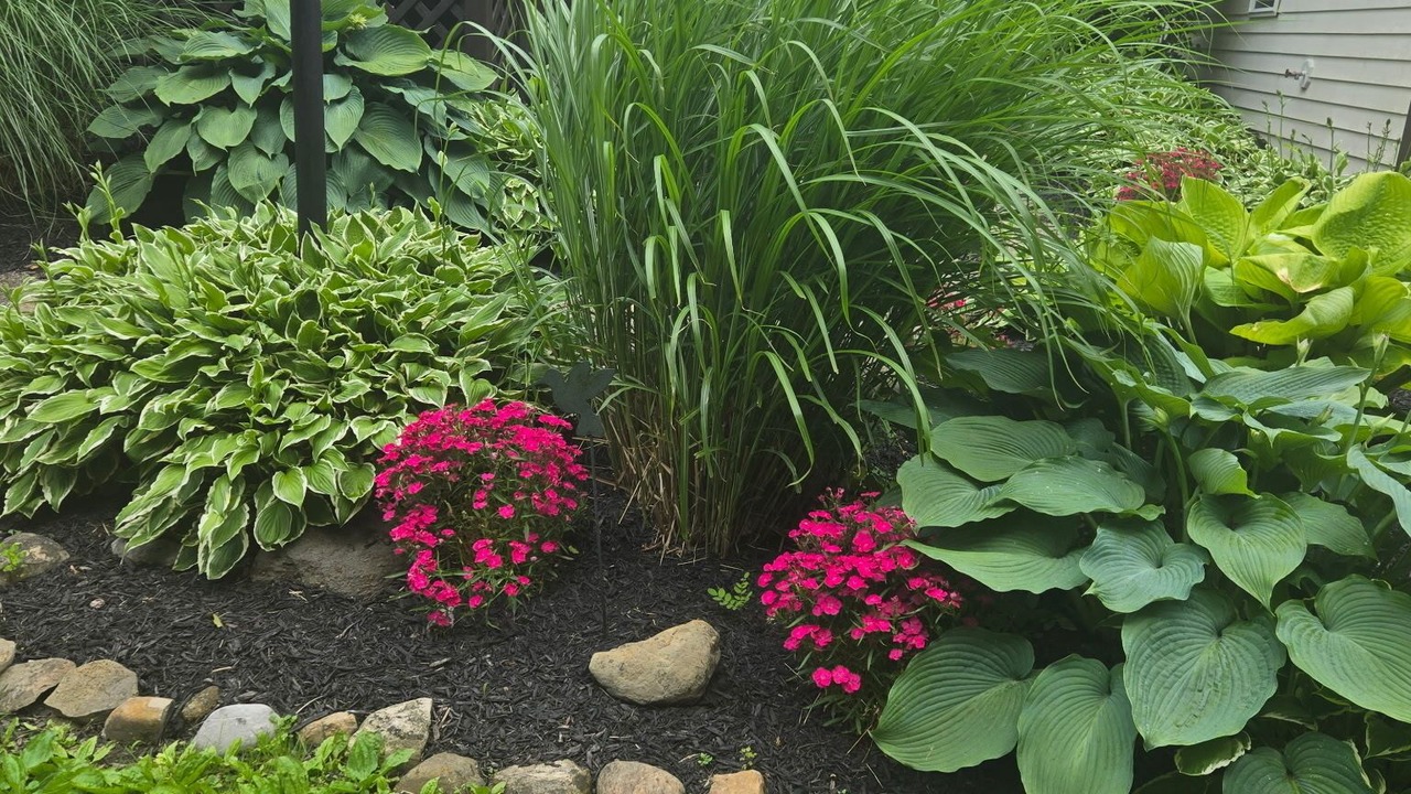 Photo of Outdoor in Canandaigua
