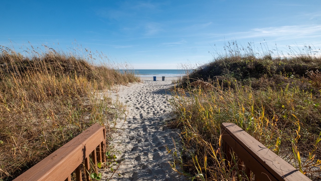Photo of Others in Windy Hill