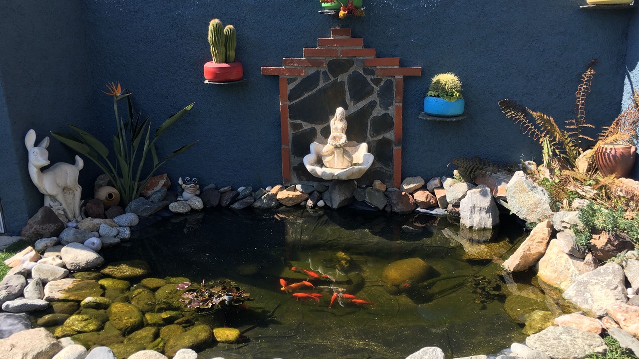 Photo of Outdoor in Pia