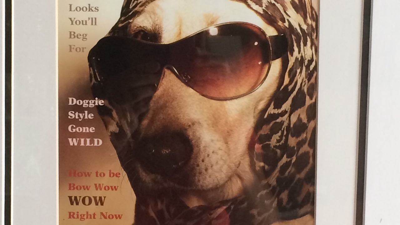 Photo of Others in Kings Terrace