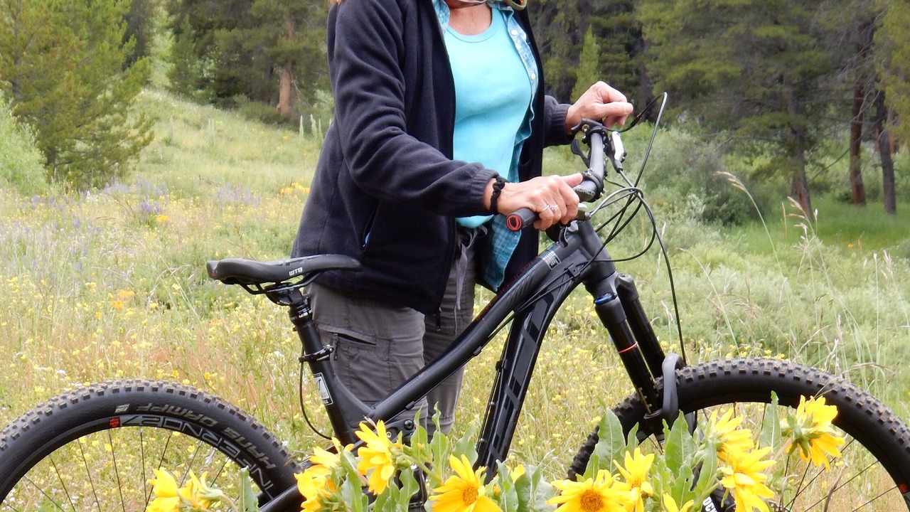 Photo of Others in The Highlands