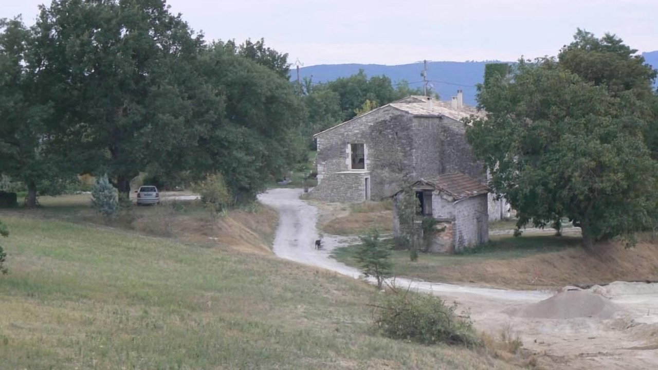 Photo of Outdoor in Mane