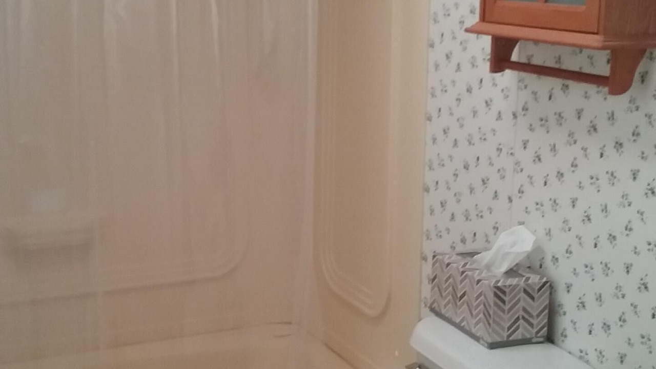 Photo of Bathroom in Canastota