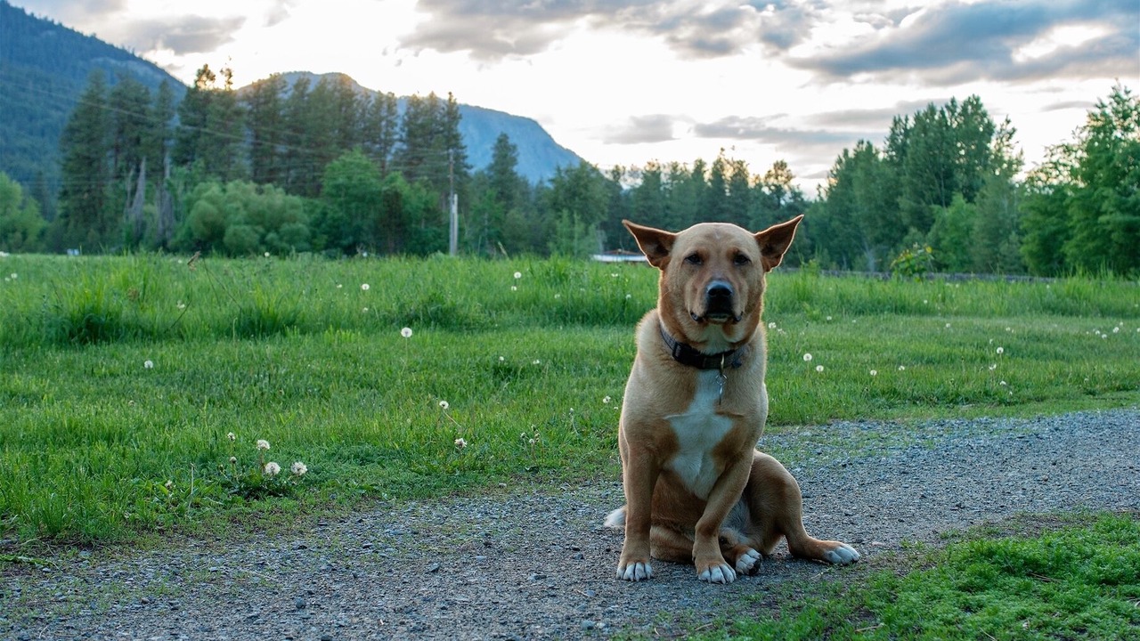 Photo of Others in Winthrop