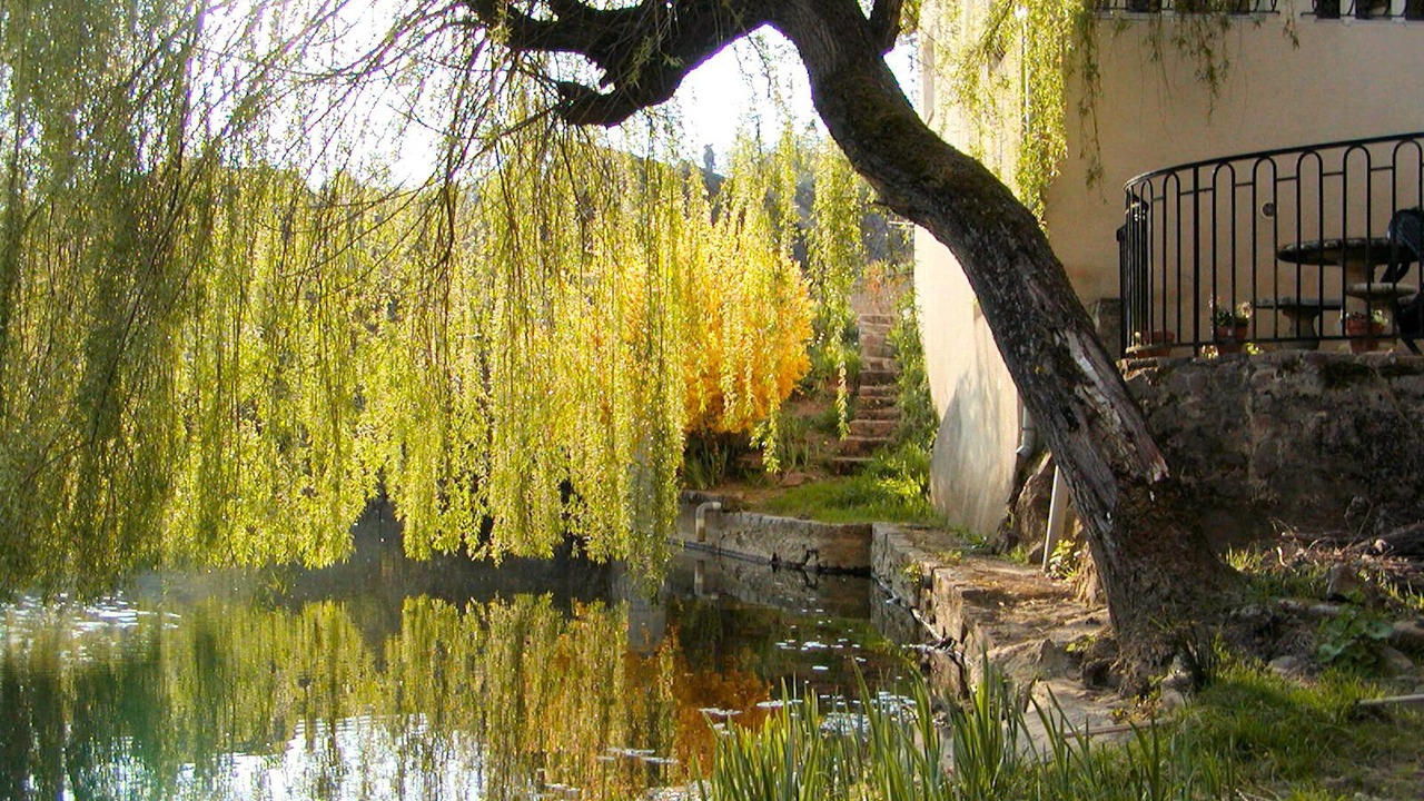 Photo of Others in Semur-en-Auxois