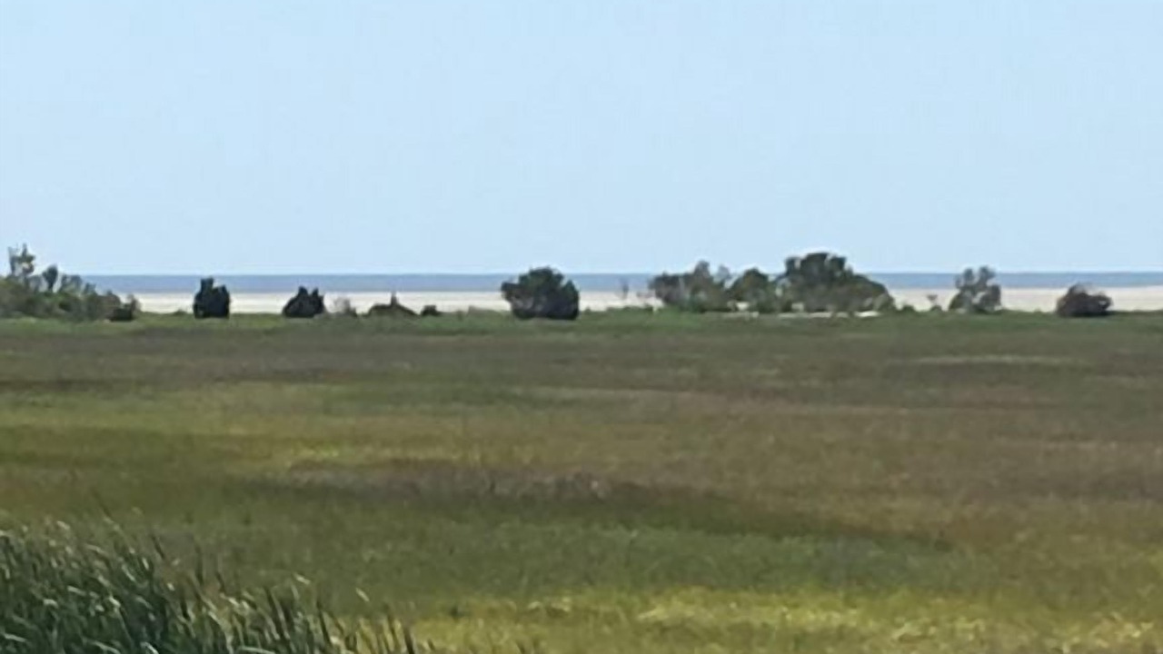 Photo of Others in Oceanmarsh Subdivision
